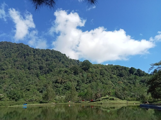 Berita